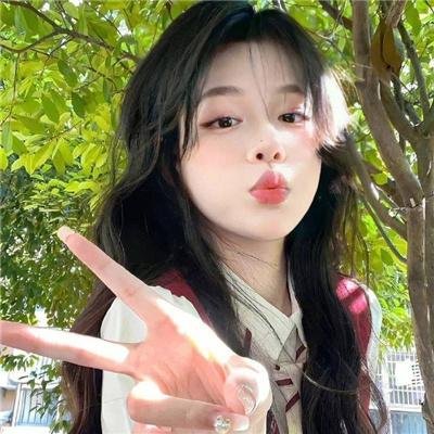 美国哈伦郡